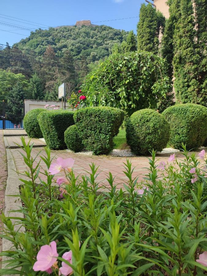 Отель Casa Alina Дева Экстерьер фото