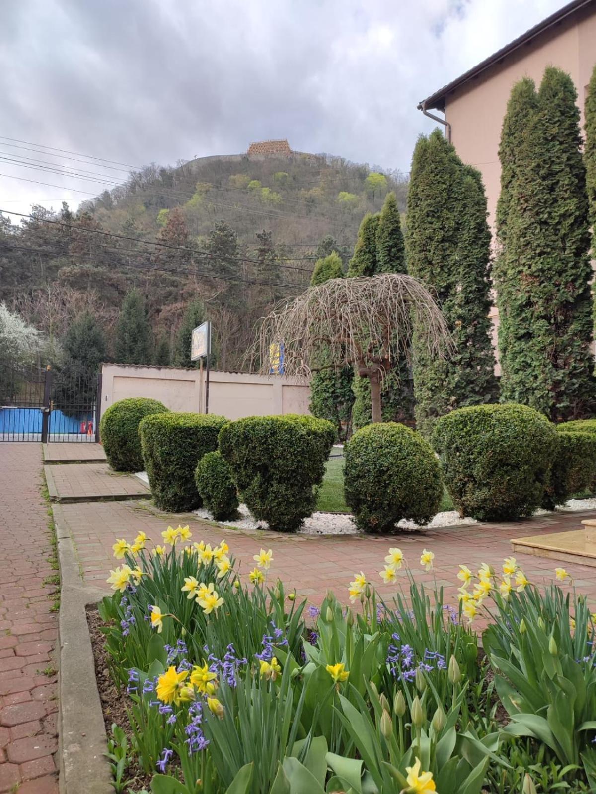 Отель Casa Alina Дева Номер фото